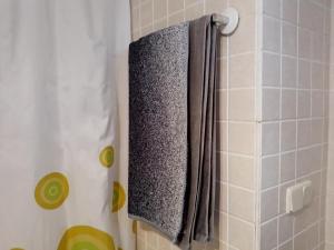 un rideau de douche avec une serviette suspendue à un rideau de douche dans l'établissement Apartamento Lavapies al lado del Rastro, à Madrid
