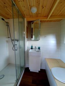 a bathroom with a glass shower and a sink at POP Tiny House Balaton in Káptalantóti