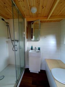 łazienka z przeszkloną kabiną prysznicową i umywalką w obiekcie POP Tiny House Balaton w mieście Káptalantóti