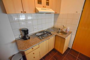 Kuchyň nebo kuchyňský kout v ubytování Apartments Kalista