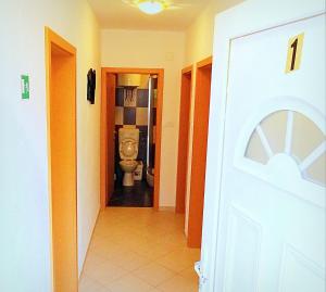 przedpokój łazienki z toaletą w obiekcie Apartments Graciela w mieście Lastovo +16 zdjęć
