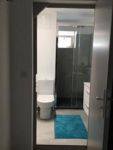 a bathroom with a toilet and a glass shower at Chambre d hôte La cool room in Antraigues