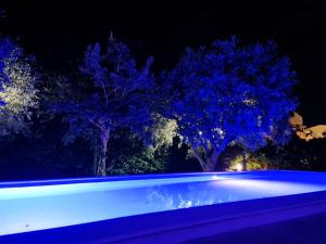 a swimming pool at night with trees with blue lights at Relais tra gli Ulivi in Ortona