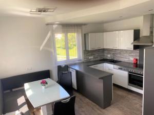 Kuchyň nebo kuchyňský kout v ubytování Apartment Erna