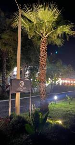 a sign in front of a palm tree at night at B&B Antica Hera in Foce del Sele