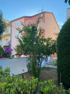 Zahrada ubytování Apartmani Dora