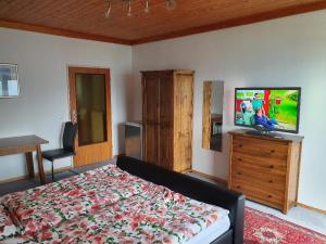 Televízia a/alebo spoločenská miestnosť v ubytovaní Apartment Haus Starfach