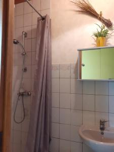 y baño con cortina de ducha y lavamanos. en Studio du gite en Wavrans-sur-lʼAa