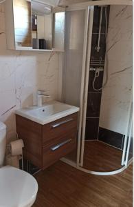 een badkamer met een wastafel en een douche bij Przytulisko in Smołdzino