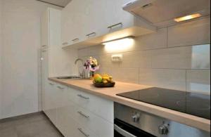 Kuchyňa alebo kuchynka v ubytovaní Apartman Bregi****
