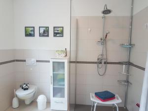 bagno con doccia e servizi igienici. di Ferien am Bergpark - Kassel, Bad Wilhelmshöhe a Kassel