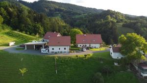 an aerial view of a house in the mountains at Hopfenhof in Leutschach