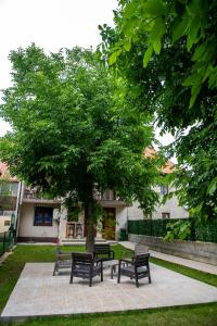 Zahrada ubytování Guest House Alte