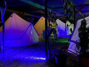 a group of tents are lit up at night at Aurora Glamping in Vama Veche +54 photos