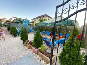 einen Garten mit Stühlen, Sonnenschirmen und Topfpflanzen in der Unterkunft Aurora Glamping in Vama Veche