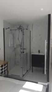 a bathroom with a glass shower and a sink at Appartement OH! Duc de Sully in Sully-sur-Loire