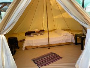 Gallery image of Aurora Glamping in Vama Veche