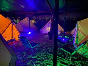 grupa namiotów z krzesłami i światłami w ciemności w obiekcie Aurora Glamping w mieście Vama Veche