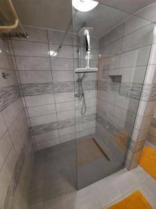 y baño con ducha y puerta de cristal. en Sun river Kolpa AP1, en Vinica
