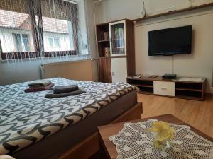 1 dormitorio con 1 cama y TV de pantalla plana en Sun river Kolpa AP1, en Vinica