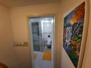 Billede fra billedgalleriet på Sun river Kolpa AP1 i Vinica