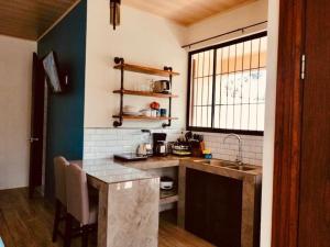 福尔图纳Lisa Loft Boutique Apartment的带水槽和台面的厨房