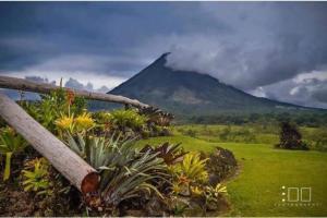 福尔图纳Lisa Loft Boutique Apartment的享有山 ⁇ 景观,山 ⁇ 植物在前方