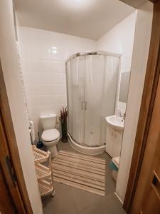 a bathroom with a shower and a toilet and a sink at Bielik in Dęblin +78 photos