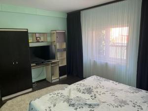 TV a/nebo společenská místnost v ubytování Casa Vio parter