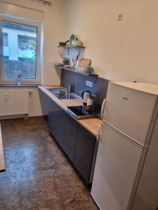Kuchyň nebo kuchyňský kout v ubytování Ferienwohnung Wunderlich rot + 6 fotografií
