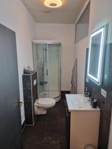a bathroom with a toilet and a shower and a sink at Ferienwohnung Wunderlich rot in Münchberg