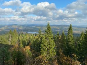 z góry widok na las drzew i jezioro w obiekcie Näköalahuoneisto 426 w mieście Syöte