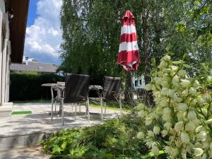 Garður fyrir utan Ferienwohnungen zum Attersee