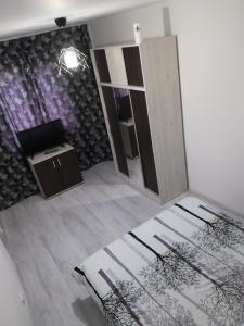 een kamer met een spiegel en een tv op de vloer bij Apartament Brezoi in Brezoi
