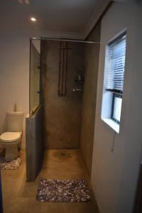 Langbeentjie Inn في كيب تاون: حمام مع دش مع مرحاض ونافذة