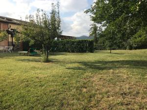 a yard with a tree and a bench in it at Appartamenti Borgo San Pietro in Deiva Marina