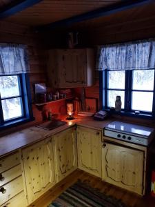 cocina con 2 ventanas, fregadero y fogones en Hytte ved innsjø, en Landsem