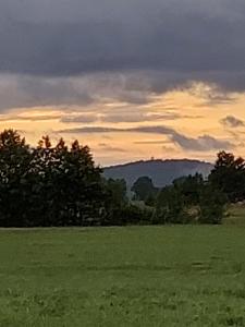 Naturlandskabet i nærheden af lejligheden