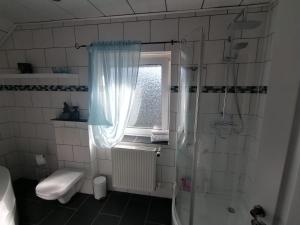 ein Bad mit einer Dusche, einem WC und einem Fenster in der Unterkunft Romantische Ferienwohnung in Bad Breisig