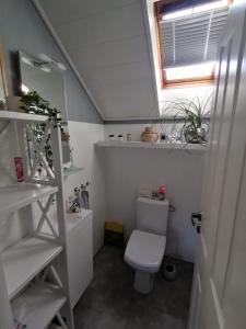 Elle comprend une petite salle de bains pourvue de toilettes et d'une fenêtre. dans l'établissement Romantische Ferienwohnung, à Bad Breisig