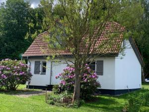 a white house with pink flowers in front of it at Lille Schlei Hus in Boren