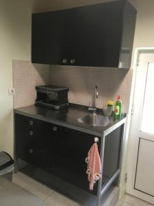 a kitchen with a sink and a counter top at Leonidas apartments 1 in Sparti