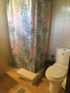 a bathroom with a shower curtain with a toilet at Leonidas apartments 1 in Sparta
