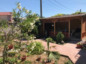 Zahrada ubytování Casa Vio parter