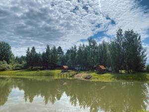 a view of a lake with a house and trees at Laumių Nameliai in Anykščiai