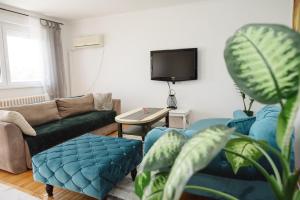 sala de estar con sofá y TV en Apartman Star en Subotica