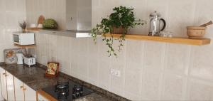 Kuchyň nebo kuchyňský kout v ubytování Apartamento Playa a 20 minutos de Santiago
