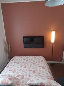 a bedroom with a bed and a flat screen tv at Mazamet - Studio neuf et moderne en centre-ville in Mazamet