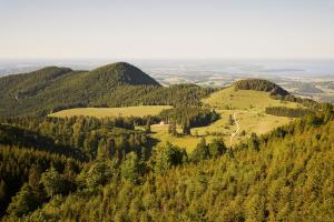 a view from the top of a mountain with trees at STUBN in der Frasdorfer Hütte in Frasdorf