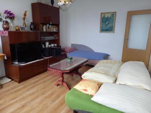 TV a/nebo společenská místnost v ubytování Byt s výhľadom na Vysoké Tatry